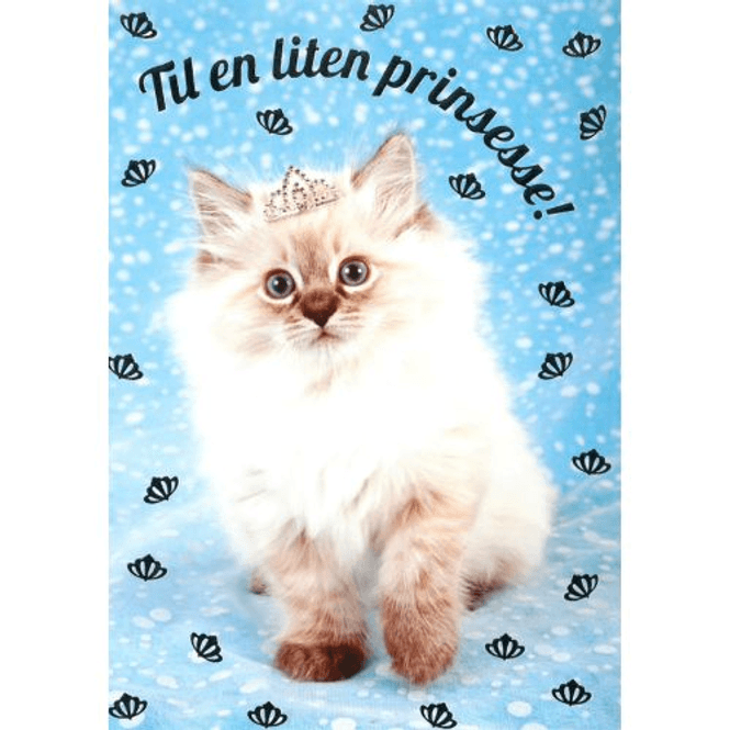 Hovedbilde Bursdagskort - Katt